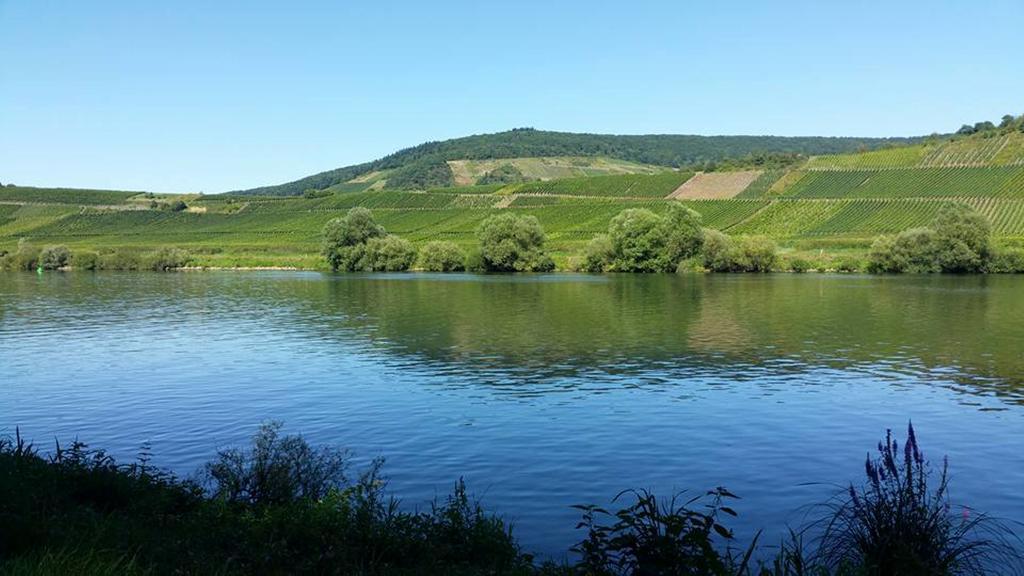 Haus Hazienda Briedel Bagian luar foto