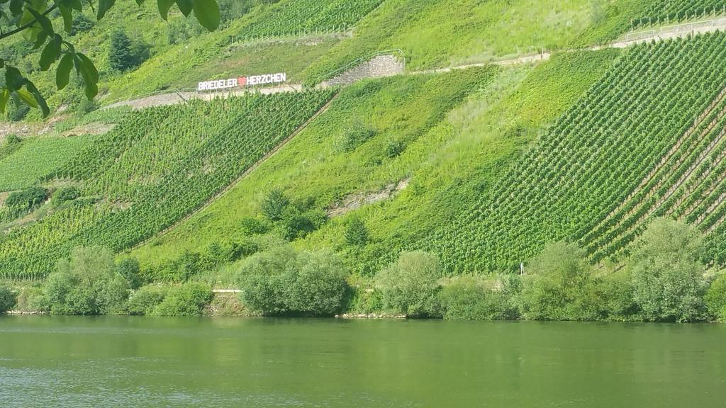 Haus Hazienda Briedel Bagian luar foto
